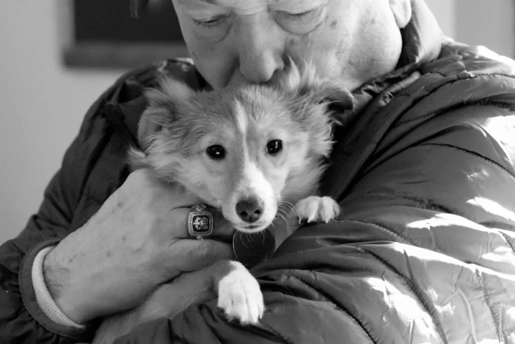 Curso de Intervención Asistida con Perros en Residencias destacada