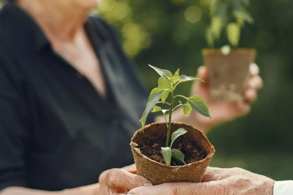 Diplomado en Terapia Verde y Contacto con la Naturaleza destacada